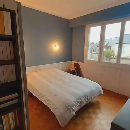 Apartment Calme, Lumineux Et Spacieux. Angers.